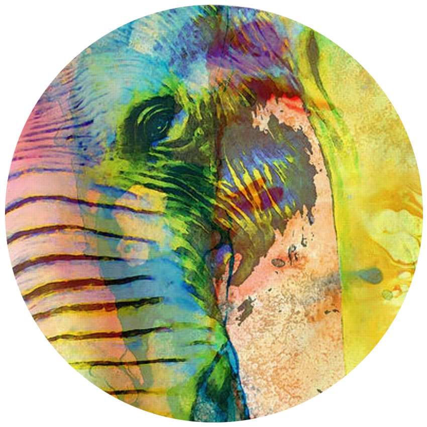 profile-three